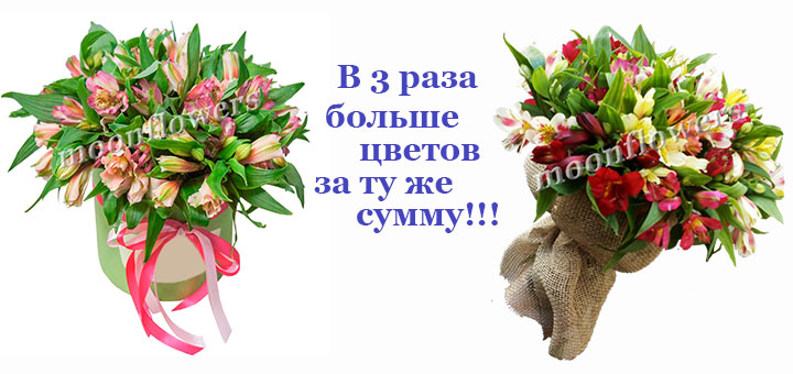 uy6uytuytuytytdtrdytfigujyg